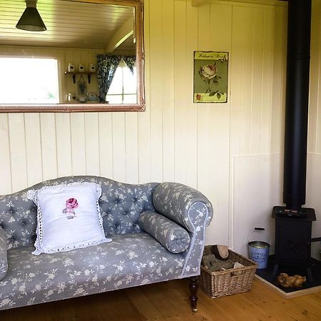 Lilly'S Pad Bude Exterior foto