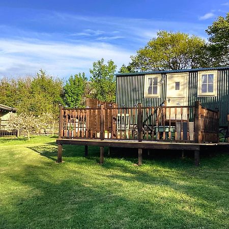 Lilly'S Pad Bude Exterior foto